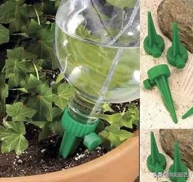 出差自制浇水神器,出外旅游自制浇花神器