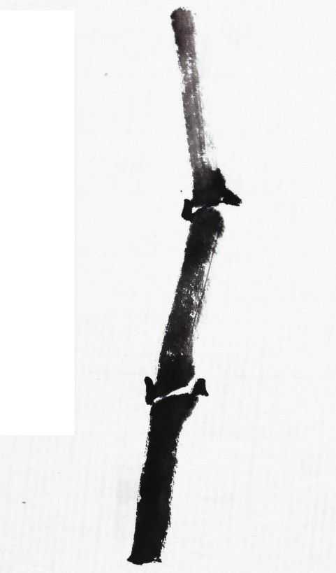 画竹子的简单画法水墨初学,竹子没骨画教程