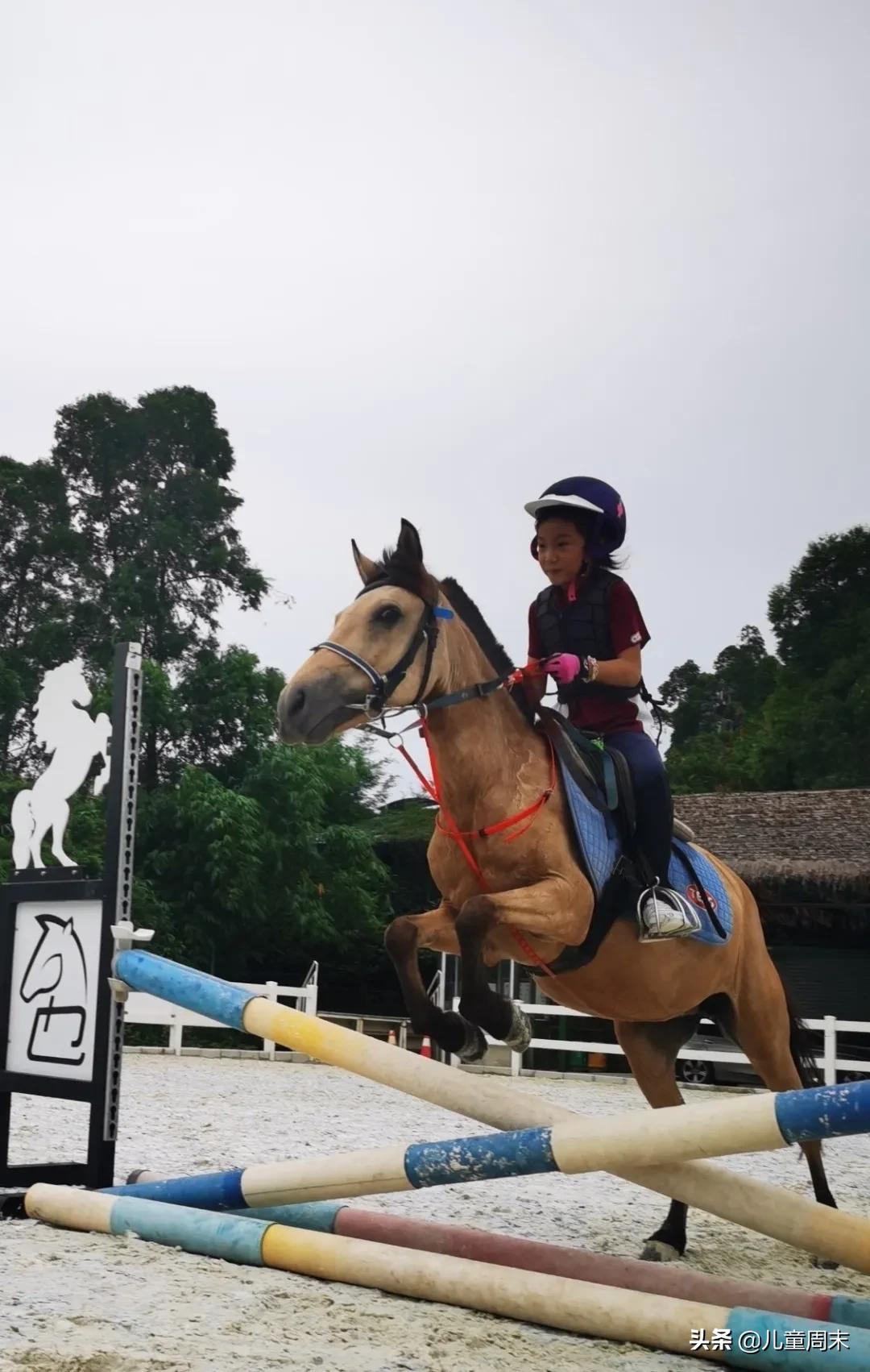 深圳海边骑马地点推荐,深圳骑马最佳地点