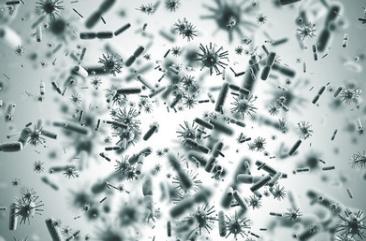 风寒感冒跟病毒感冒吃消炎药吗,病毒感冒是风热感冒还是风寒感冒