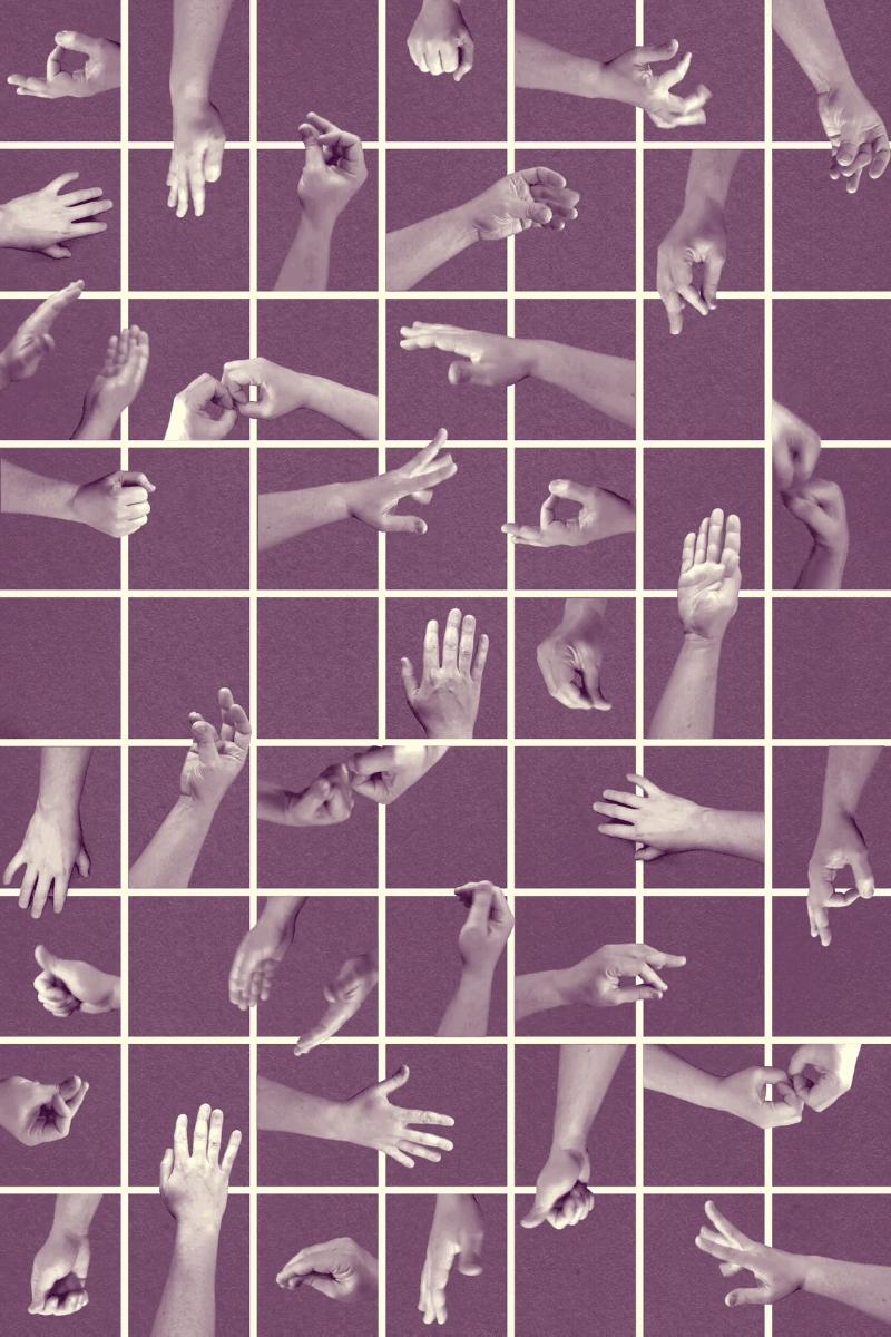 纽约时报去年的文章,纽约时报年度最佳图书