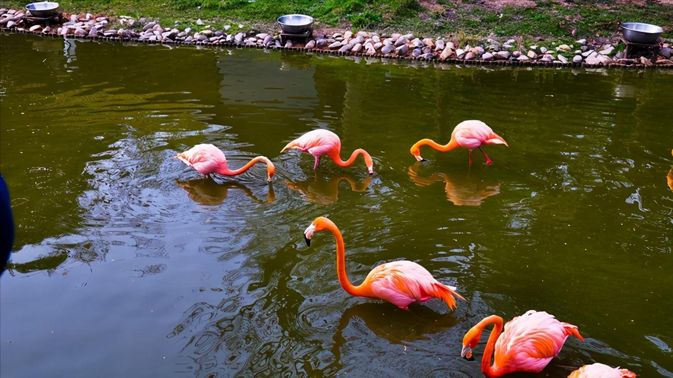 江苏扬州全面介绍,江苏省扬州市有什么区