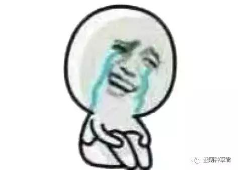 护肤去鸡皮的方法,去鸡皮粗糙皮肤推荐