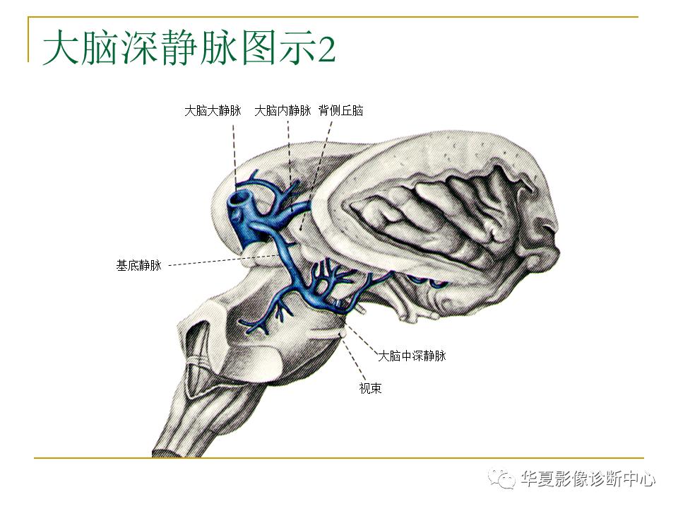 中国人脑立体定向mri应用解剖图谱,脑mri示意图
