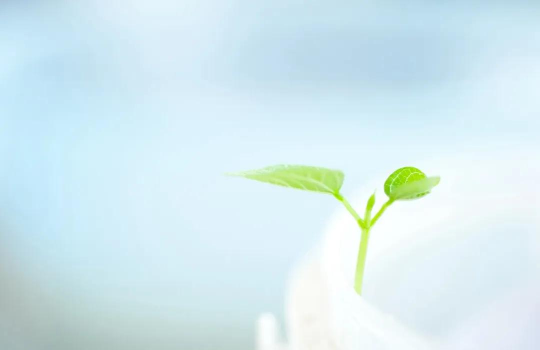 做自己灵魂的摆渡人的意思,做自己生命的摆渡人