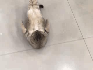 “兄弟睡觉压得胳膊都变色了，要不要叫醒他？”醒来一定很酸爽