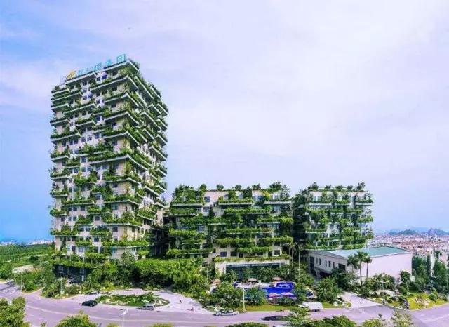 干，就来真的！给这些佛企点赞