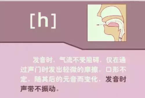 48个英语音标正确读法视频教学,英语48个音标正确发音顺口溜表