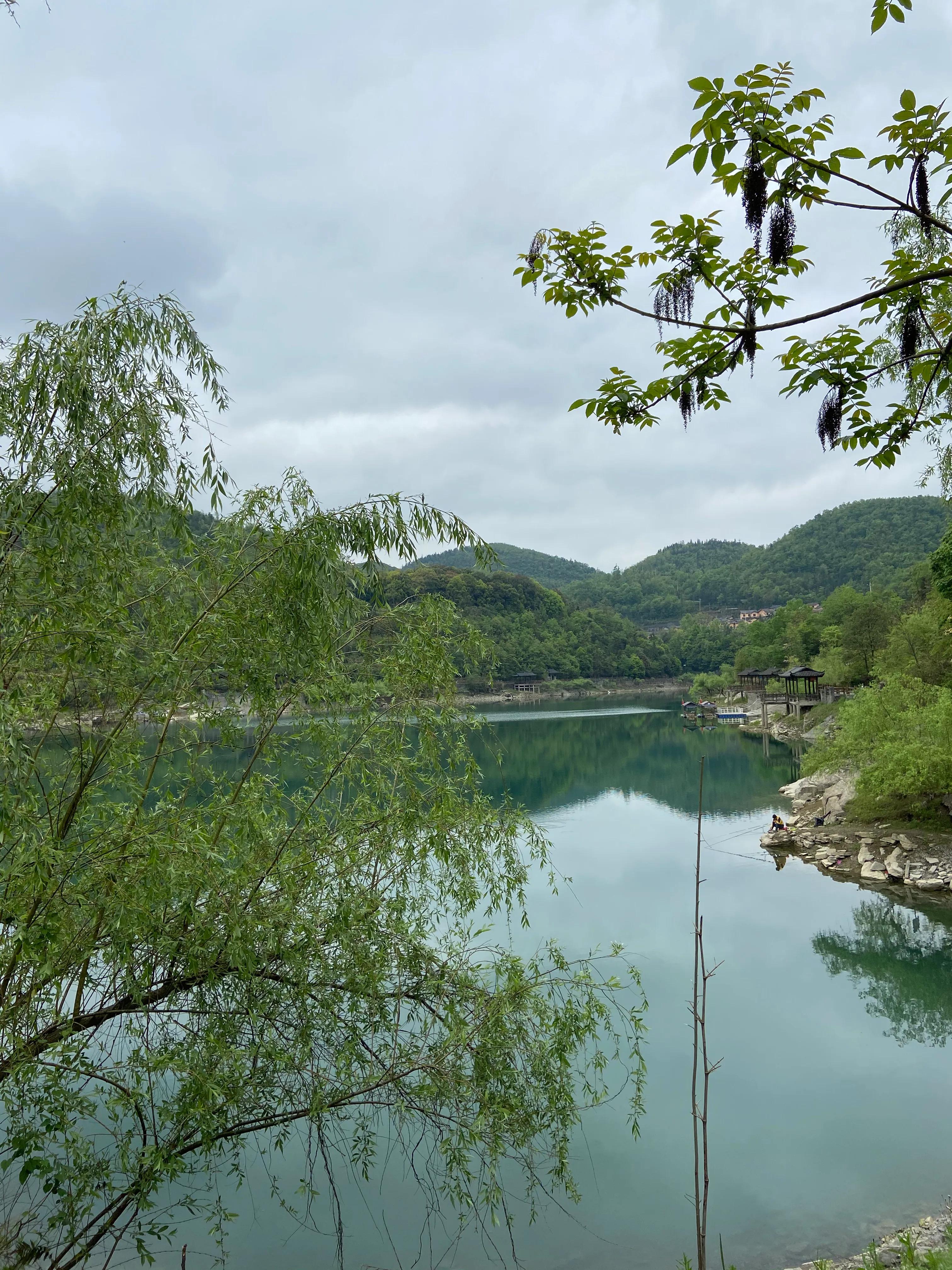 水井密密麻麻的鱼,里耶河鱼
