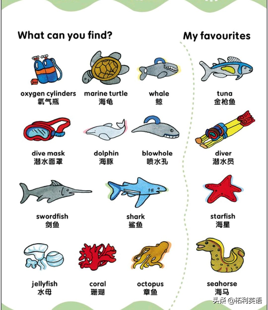 生活中常用的3000个英语单词短语,生活英语单词谐音大全