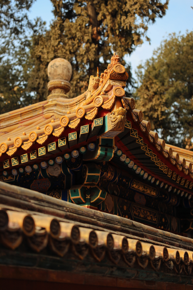 佳能rf70200f2.8和f4哪个好,佳能rf15-35f2.8测评