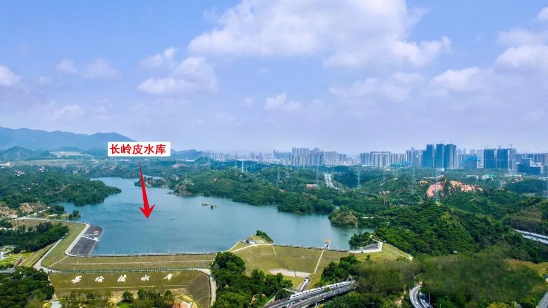 太劲爆！半4、海2后，南山又有豪宅要入市，住宅只有300多套