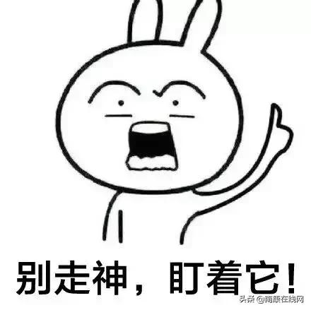 南康区第四届篮球锦标赛赛程,南康区体育馆游泳比赛