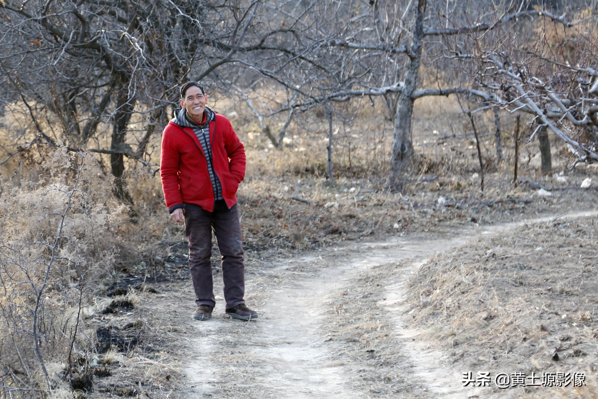 大叔在山上养小型凶猛土狗看家,农村大叔养十几条狗