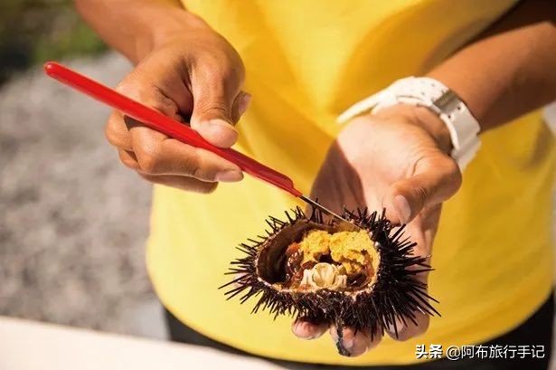 去日本才能吃过瘾的岛国本土食材，至少有8种便宜了游客