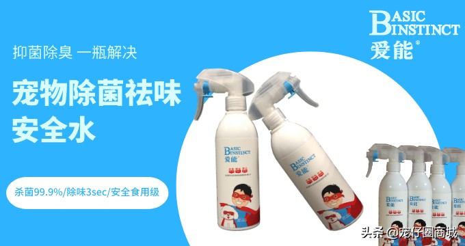 铲屎官该如何治疗和预防,铲屎官对付小猫咪