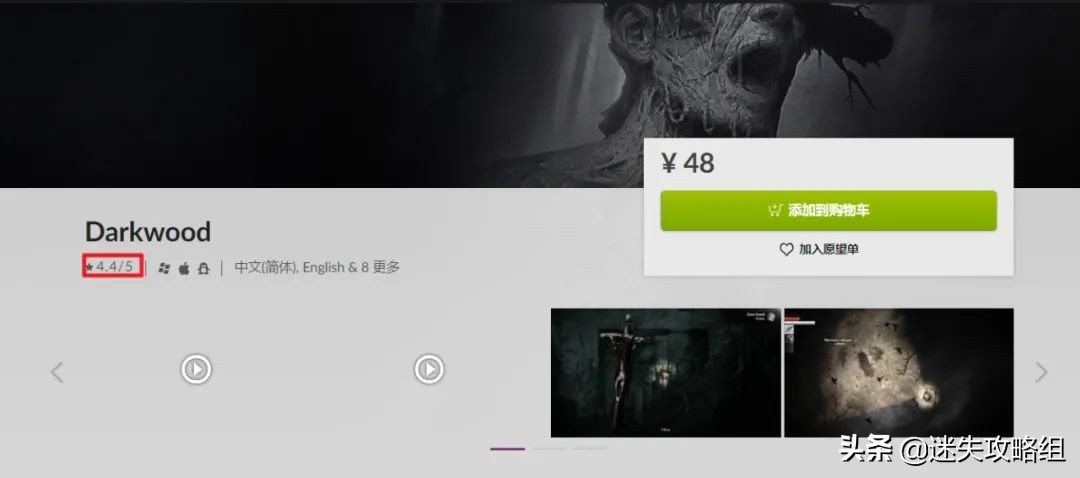 阴暗森林游戏的背景,阴暗森林游戏解析