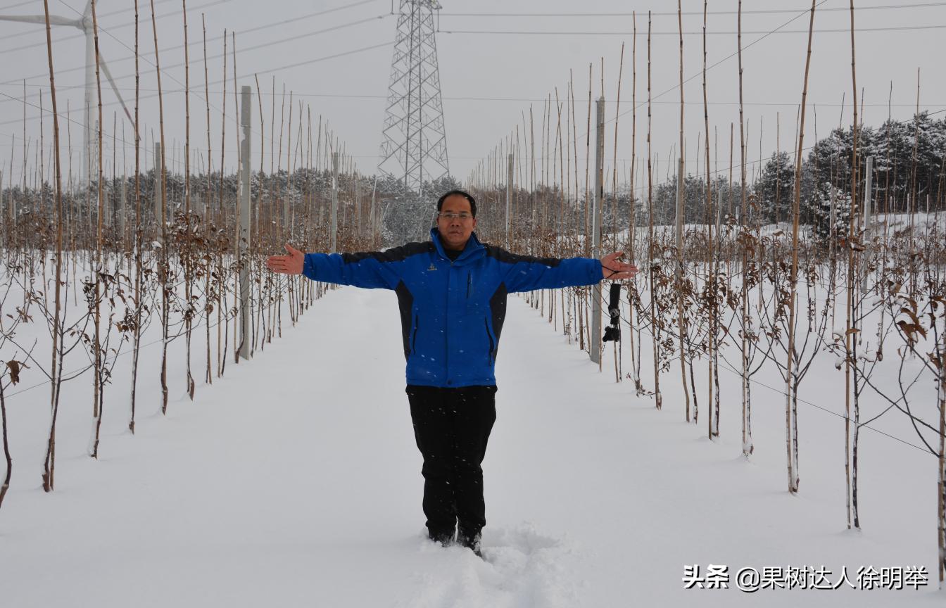 你对园艺专业的看法,你对园艺技术有什么了解