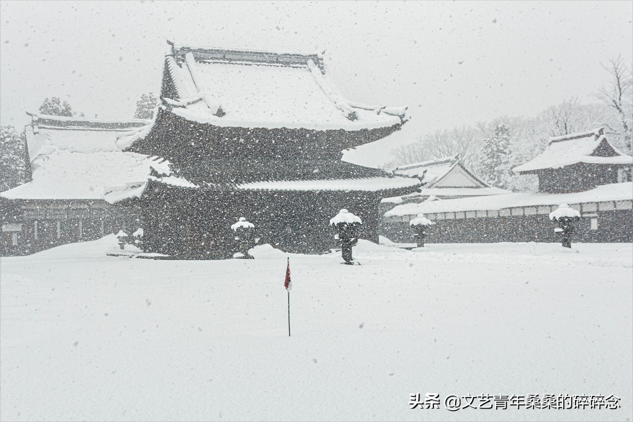 冬季日本的自驾游攻略,冬日游日本名古屋攻略