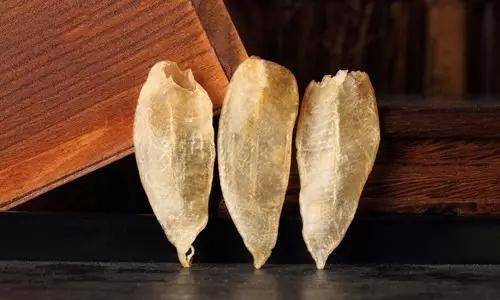 鱼胶知识大全视频,最全常识看完涨知识