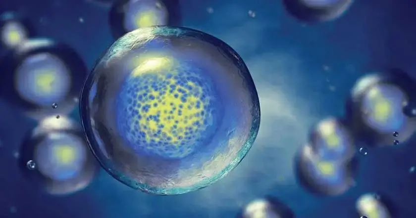 干细胞治疗肝病的最新方法,保护肝细胞治疗肝炎