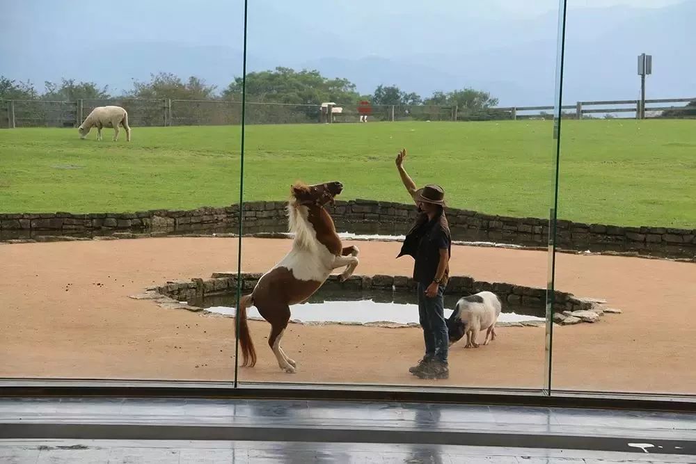 日本生态农业庄园,日本田园农场排行榜