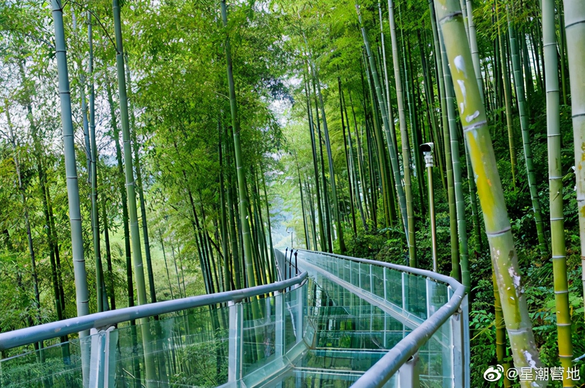 安吉哪个漂流最适合带孩子玩,安吉漂流亲子游攻略