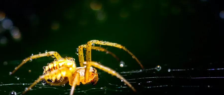 虫子叮了一口！全脸暴肿嘴巴都歪了，还差点窒息！这些楼层要注意