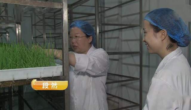 海归创业亏1700万,海归博士年收入八万万