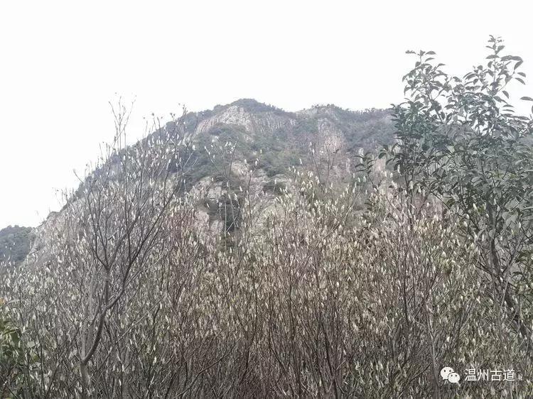 雁荡朝阳洞、五老巅、方洞环线穿越