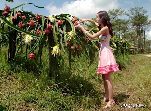 贵州清凉一日游,贵州黔南春季旅游攻略