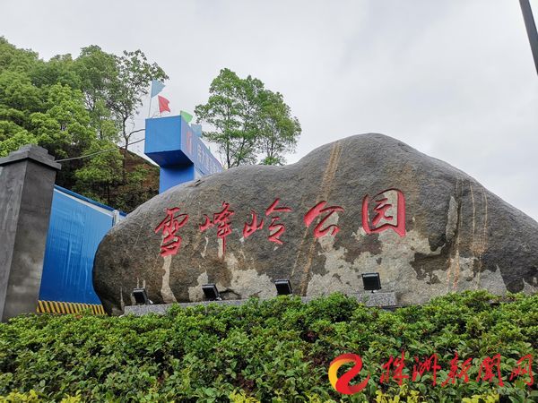 把家安在公园旁是不是很惬意,把家安在市区公园里