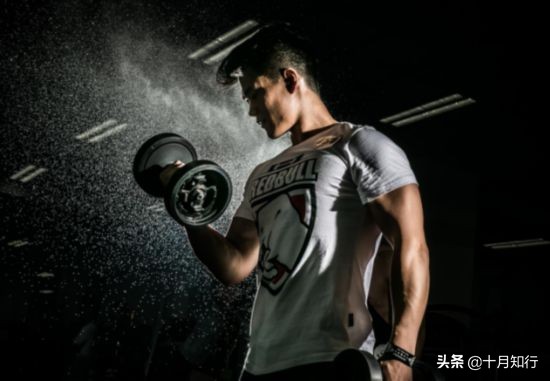 哑铃训练动作练全身详细,哑铃训练动作练全身大全