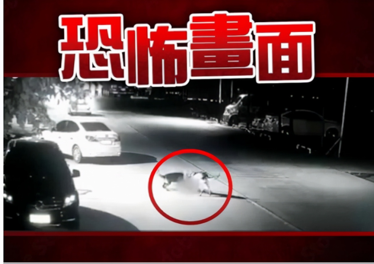 遇到恶狗攻击人如何自救,恶狗攻击人