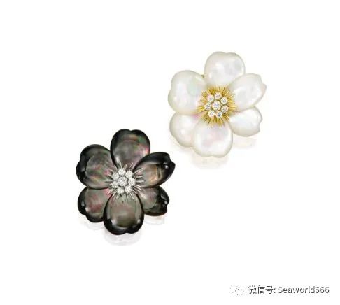 珍珠贝——用时间磨平伤痛，用温柔造就无双的美