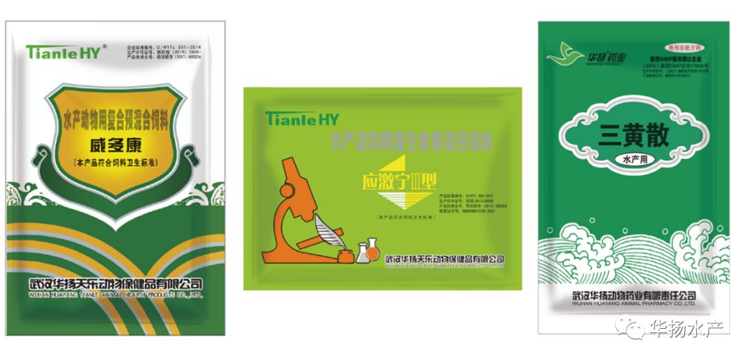 黄颡鱼掉粘液后大量死怎么治,黄颡鱼烂身病的原因