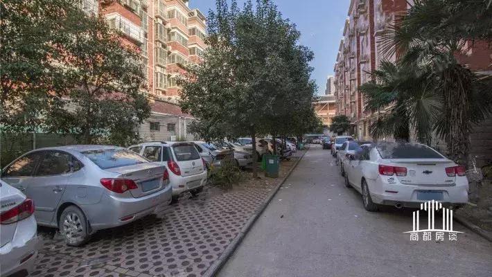 郑州哪个区小学教育最好,郑州各区教育资源大比拼郑东新区