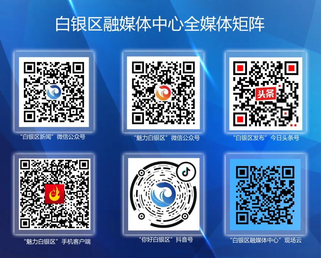 白银市2017年经济发展公报,白银区的经济支柱