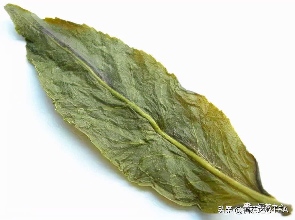 福建最好的茶叶有哪些,福建有哪些茶叶比较好