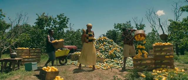 天猫国际搞海外直购,天猫国际和最专业的代购