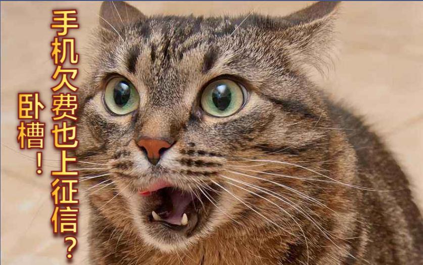 若有这5个现象要警惕,如果你有这些行为一定要警惕