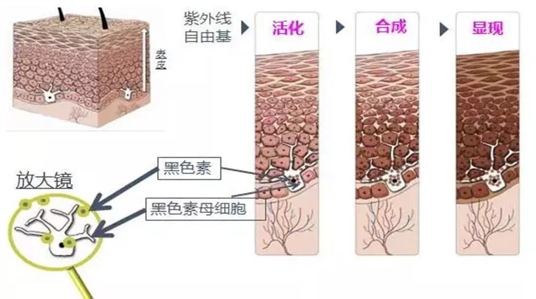 你的水乳在红榜吗,你的水乳上名单了吗