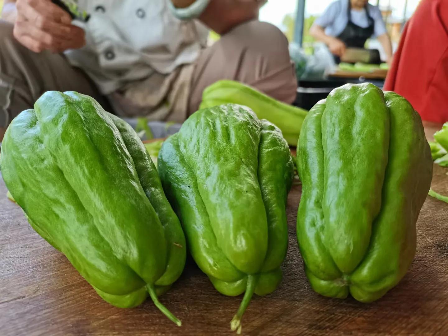 纯真年代（15）贵州安顺佛手玉润念佛手瓜