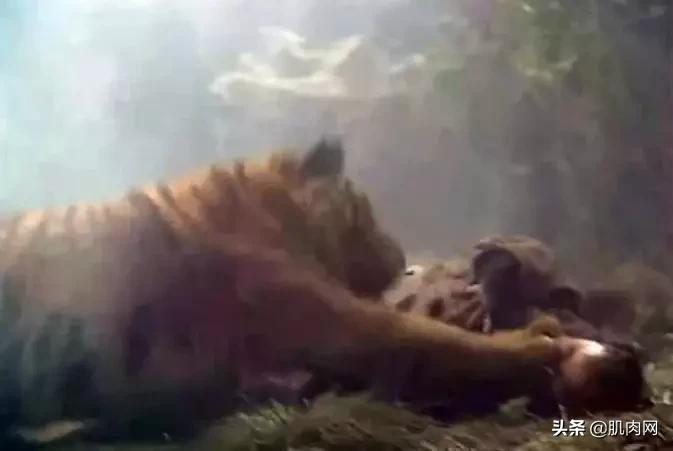 十八岁丁海峰照片,52岁丁海峰演武松打虎