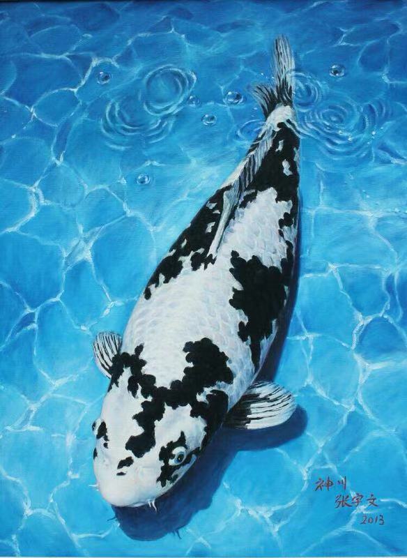 鱼缸养锦鲤鱼技术大全,缸养小锦鲤鱼的基本方法