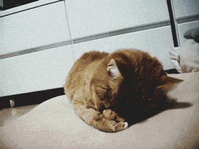 软骨素治膝盖痛,软骨素对膝盖疼痛有效果吗