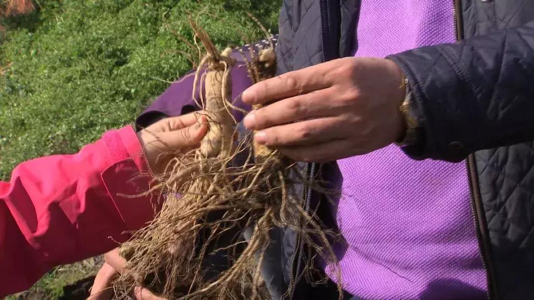 他用9年颠覆一个行业，获得千万财富的背后，竟是因为……