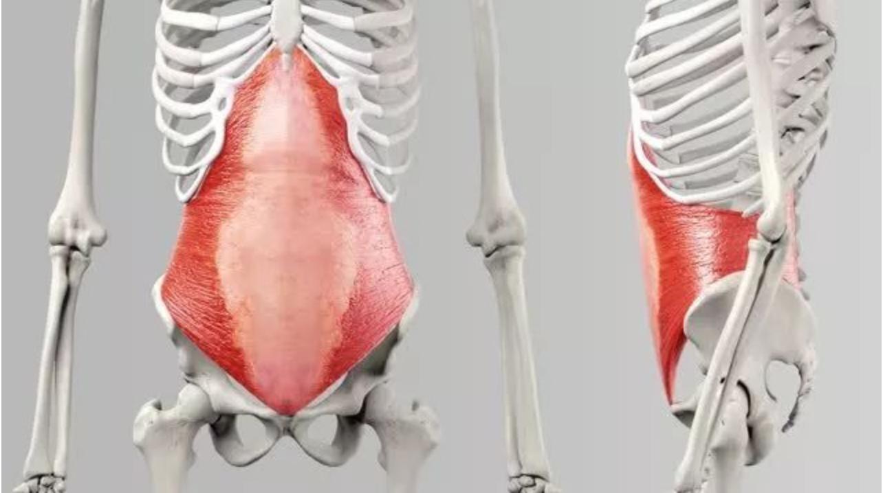 产后盆底肌和腹直肌有必要修复吗,产后腹直肌盆底肌修复有必要做吗