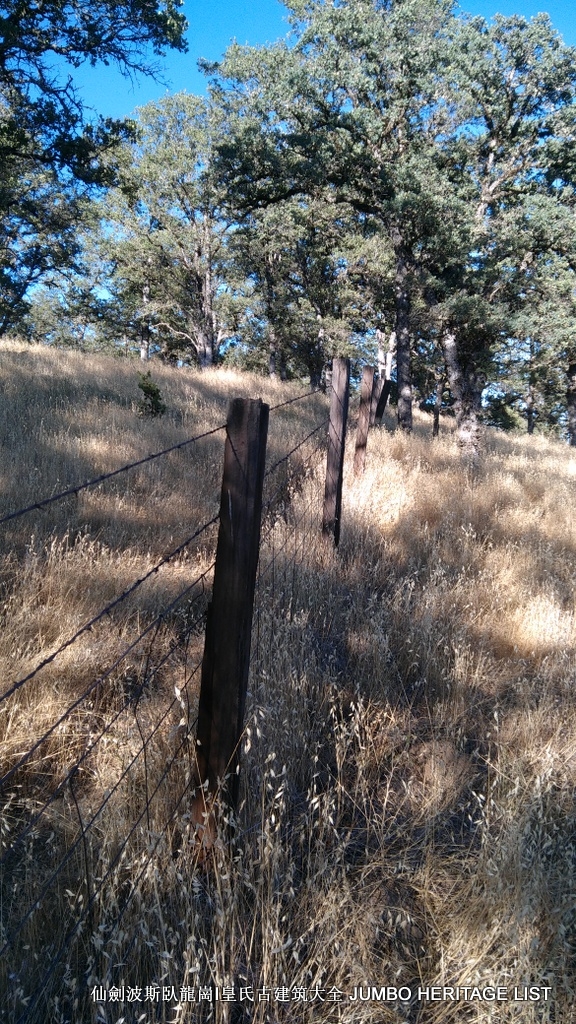 第3045回：人生一世草生一春，来如风雨去似微尘