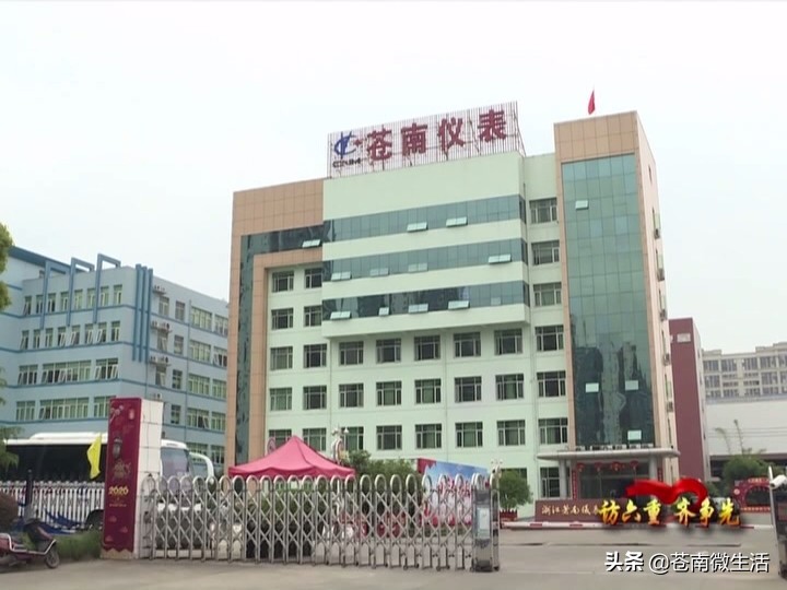 苍南仪表集团科技园,苍南仪表厂简介